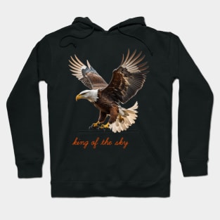 king of the sky Hoodie